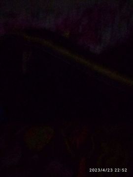 陈來生的图片