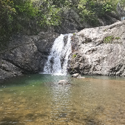 夏儿的饲养员海报