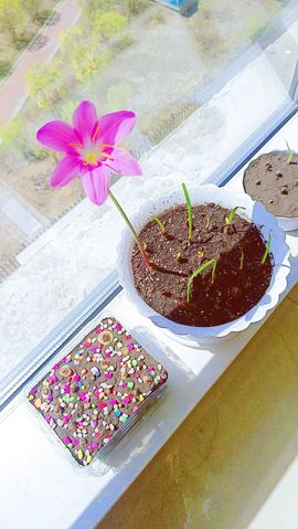 ღ娜娜ぃ7月1生日吖主播照片