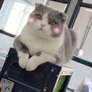 狗狗：2