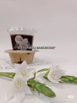 一树梨花压海唐同学☞主播照片