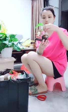 甜蜜未来乐在心怀主播照片