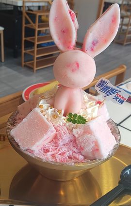 果宝兔🐇主播照片