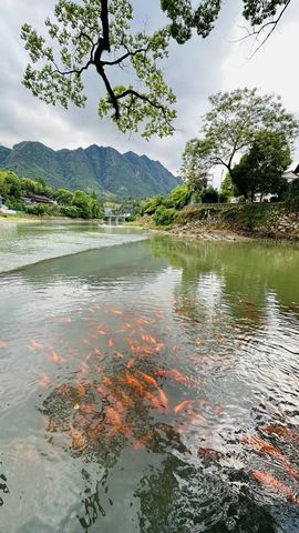 （顺势）主播照片