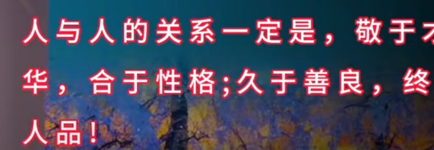 丑小鸭💞愿有一束光的图片