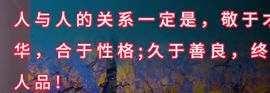 丑小鸭🍑努力加油播主播照片