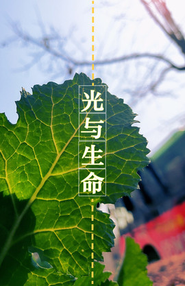 阿道夫春去秋来主播照片