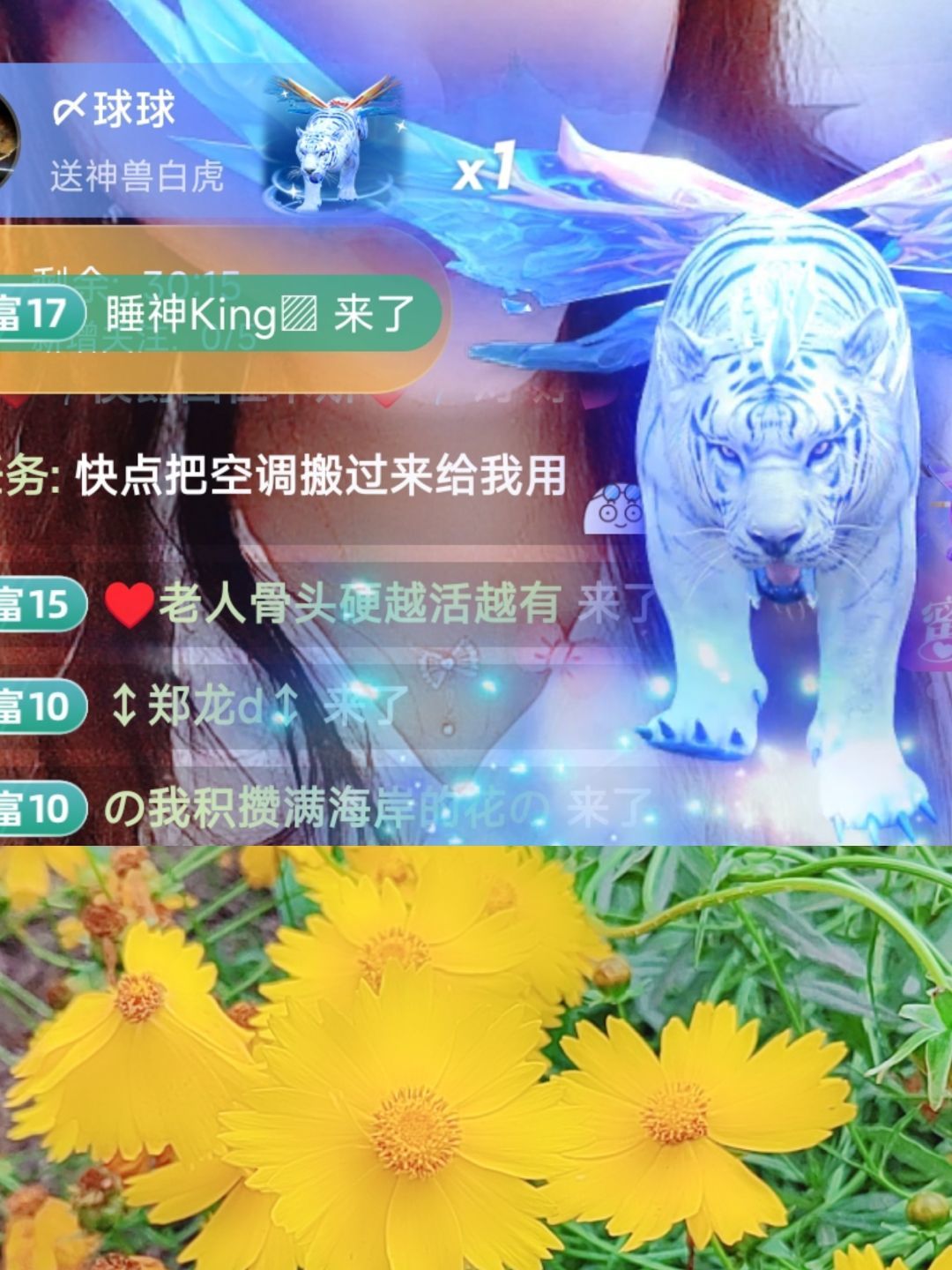 婷婷💕感恩有你陪伴的图片