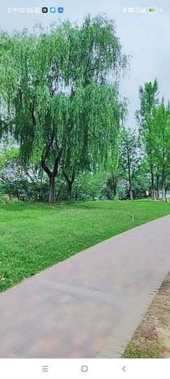 婷婷💕求升级的图片