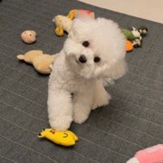 ✨ ⁡唯爱昕怡✨