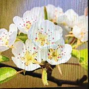 User_16551头像