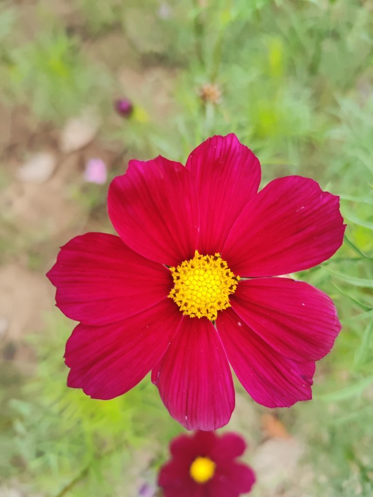 婷婷💕感恩有你陪伴的图片