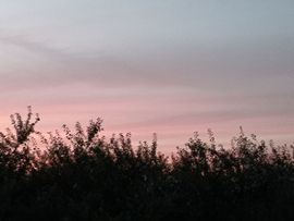 陌上╰.╯花开ღ主播照片