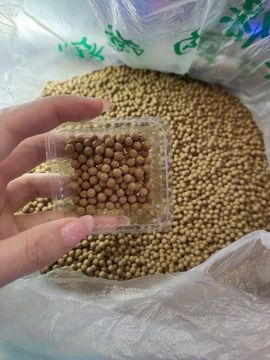 ☞雪儿♞930☜的图片
