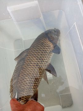 ！爱在远方！主播照片