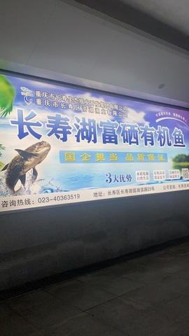呆呆娜♡唱歌呐主播照片
