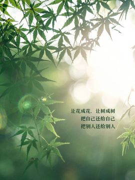 闰六月星空有约主播照片
