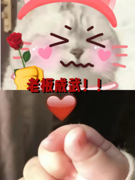 初遇欣颜主播照片