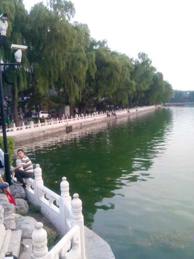 超级敷衍的主播照片