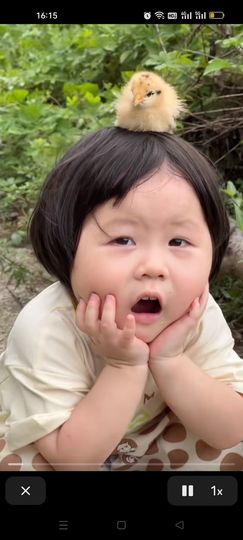 菲儿💗好运来🌈的图片