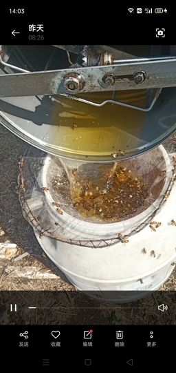 ★╭倾雪431的图片