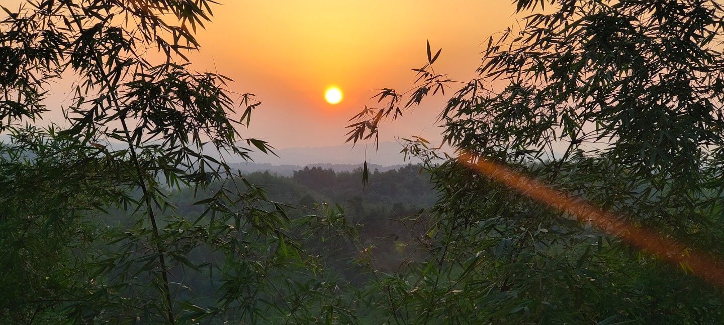 炬广阿涛的主播照片