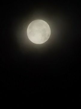聆听~爱唱歌主播照片