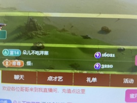 乖乖很乖~主播照片