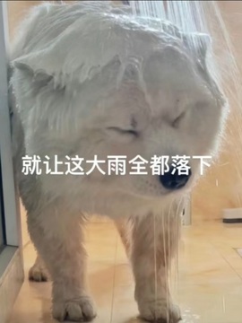 初遇欣颜主播照片
