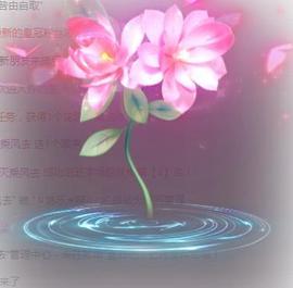 ゞ悠乐★婉儿つ主播照片