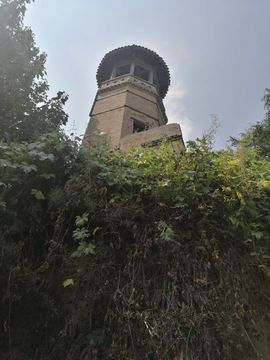 陌上╰.╯花开ღ主播照片