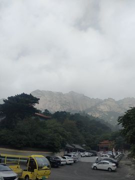 真心遇水性杨花主播照片