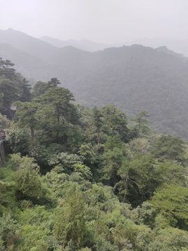 真心遇水性杨花主播照片