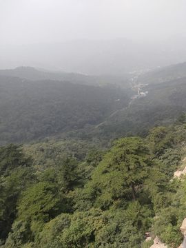 真心遇水性杨花主播照片
