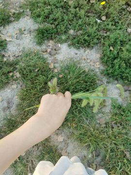 ღ瑋玮的图片