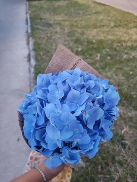 婷婷💕求升级的图片