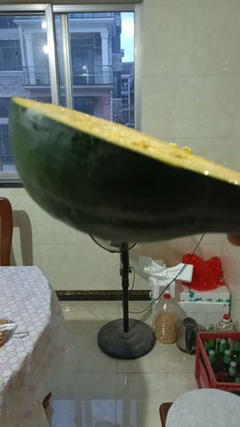日了个锤子主播照片