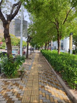 婷婷💕求升级的图片