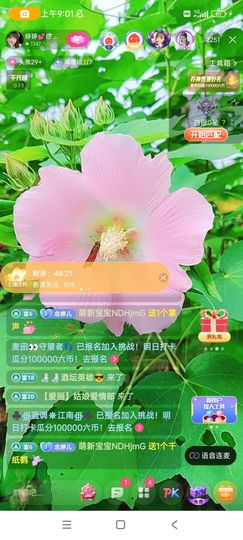 婷婷💕求升级的图片