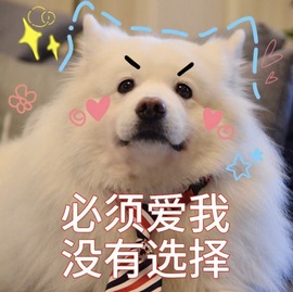 洋子～晚点见主播照片