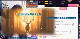 应应晚点见主播照片