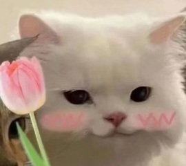 🦄嘿嘿主播照片