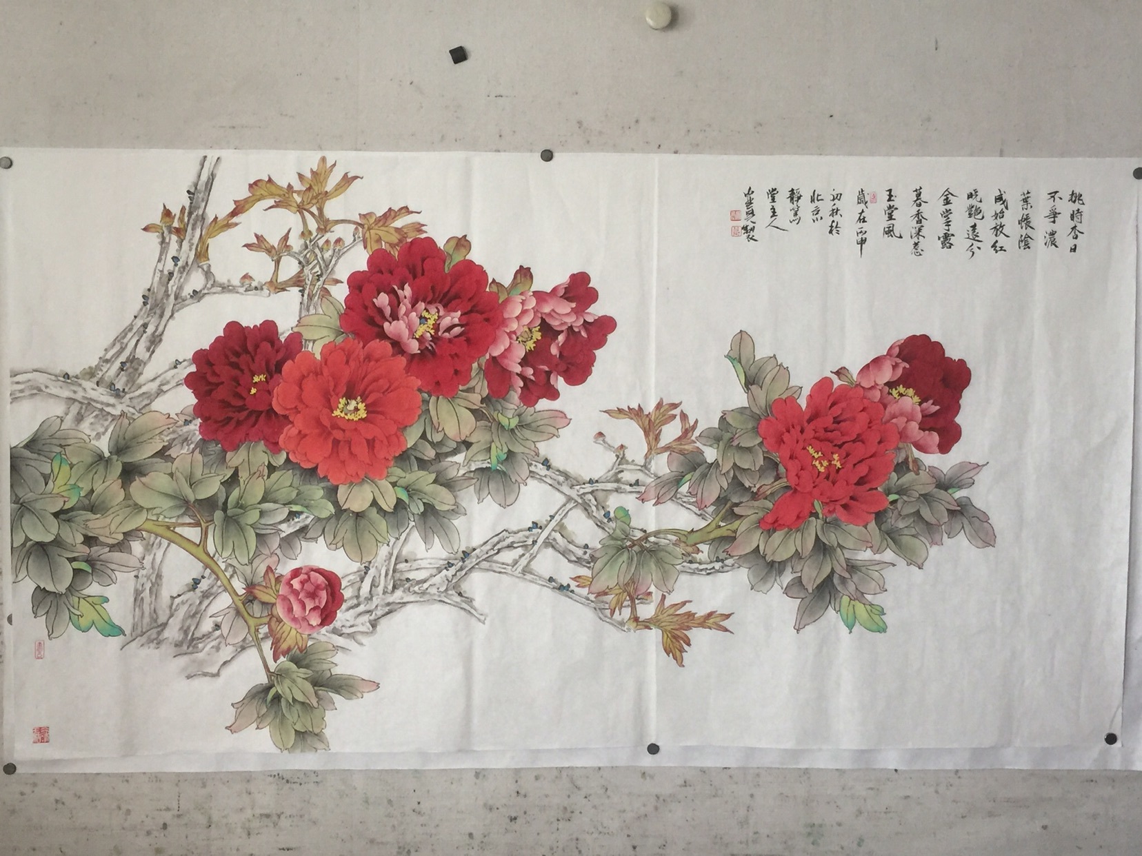 微醺也好的主播照片