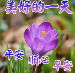 木子kigo五月好运的图片