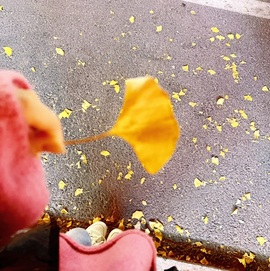 爱生气的爆爆主播照片