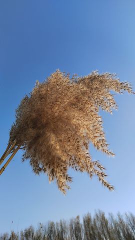 玥儿🌙中午播~主播照片