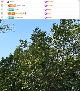 谁的糖。的图片