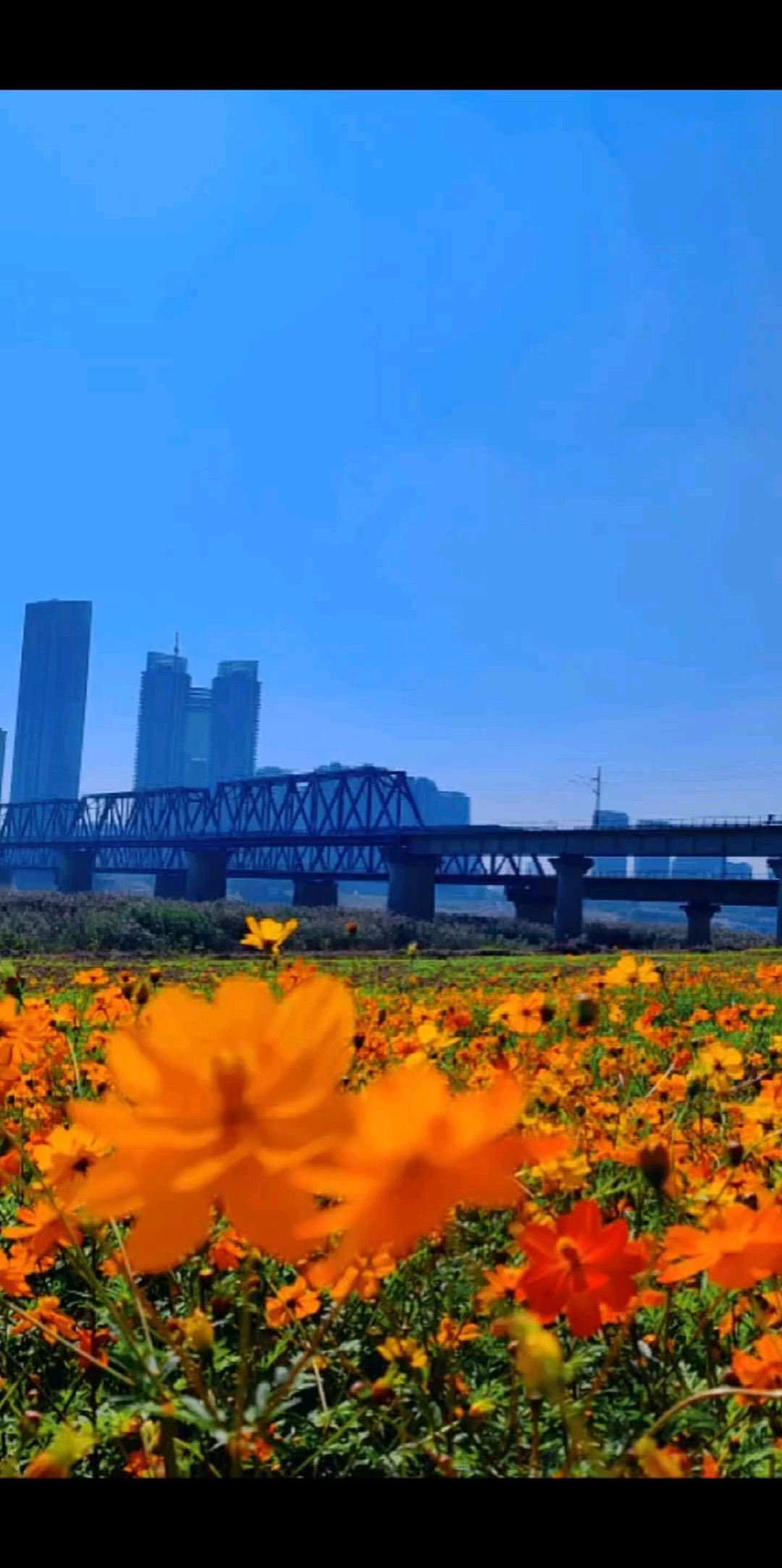 今日立冬，寒风乍起，