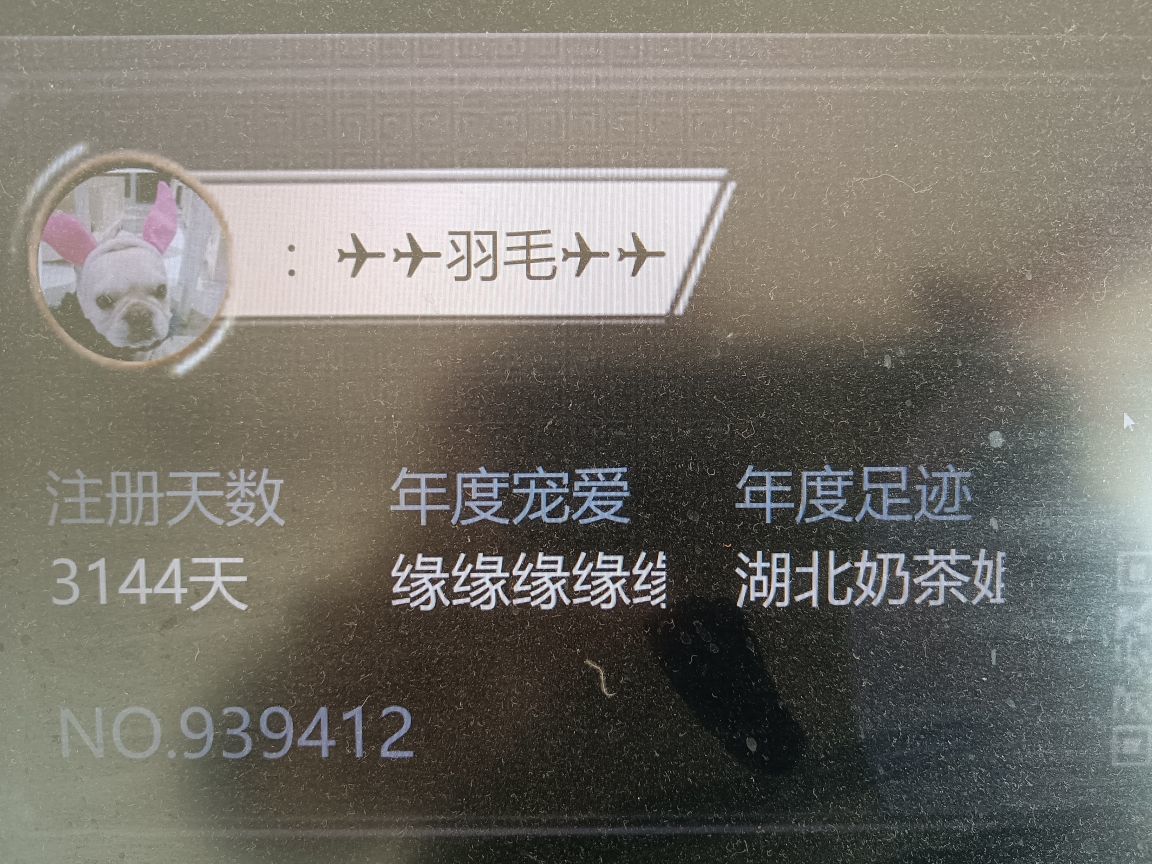 ：✈✈羽毛✈✈的图片