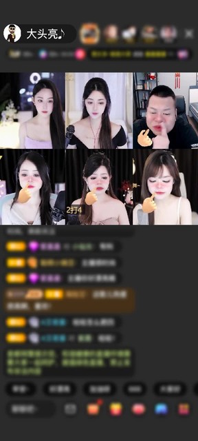 感谢神秘人赠送翩若惊鸿1个